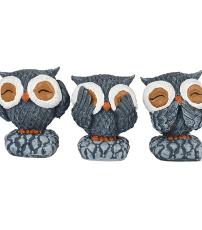 3 SET OWL